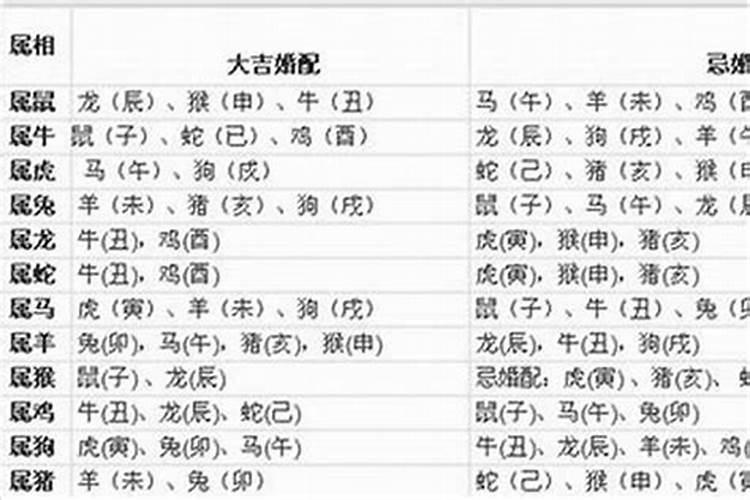 属蛇的女子和什么属相最合适
