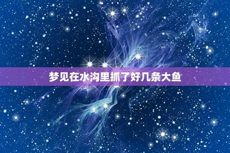 本命年犯太岁什么意思