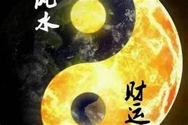 2025年哪天动车日子好