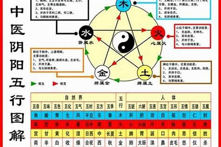 五行属什么命是按照年还是日 五行属什么命怎样看是按照年还是日来看...