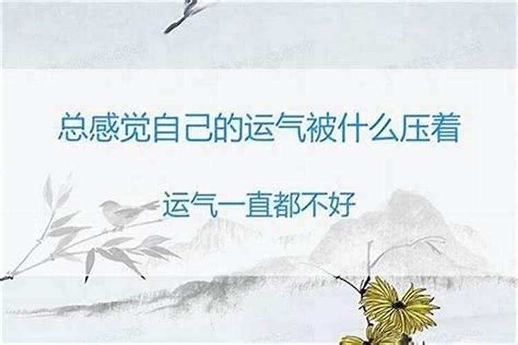 梦见车被撞坏了是什么意思 梦见车被撞坏了是什么意思  周公解梦...