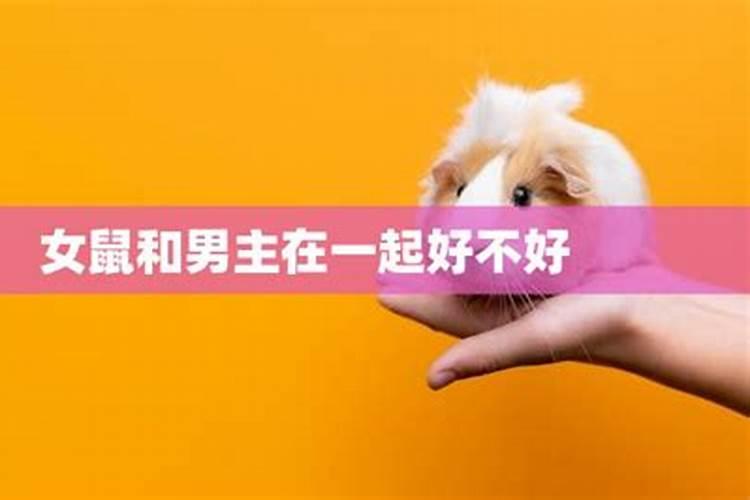 八字合婚农历1984年10月4日属鼠男1985年10月27日属牛女八字合吗？