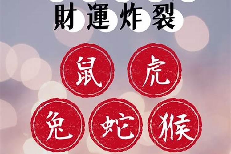 冬至生日的人命运