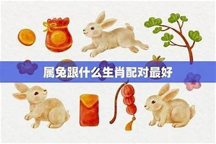 属兔和什么属相最佳婚配 无怨无悔双向奔赴