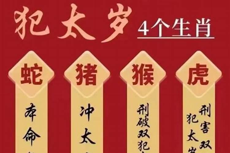 属蛇年犯太岁的四个属相