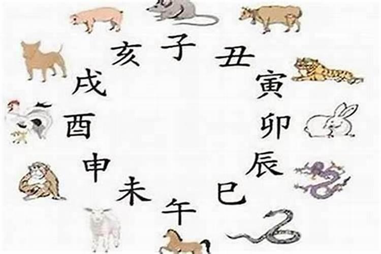 属虎男最佳婚配属相