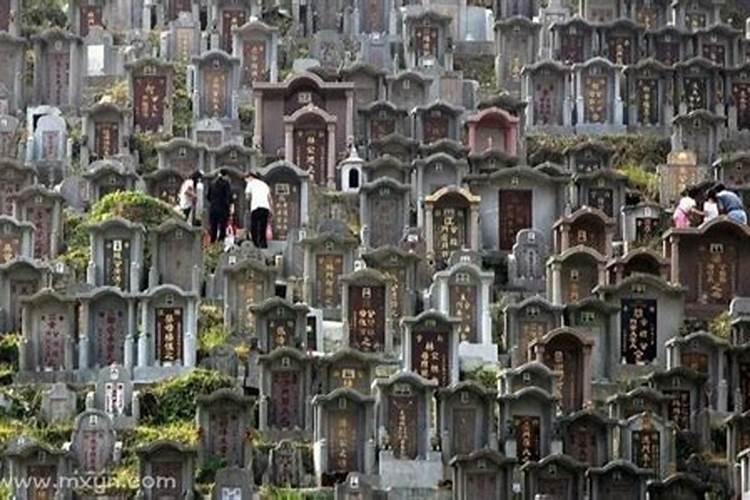 梦见和孩子一起住在坟地的预兆