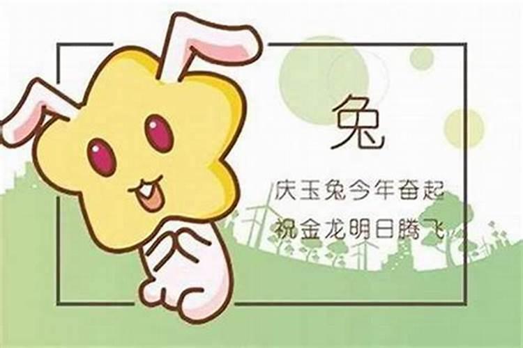 属兔2025年的运势及运程