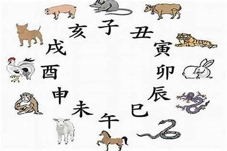 属牛和属兔的合得来吗