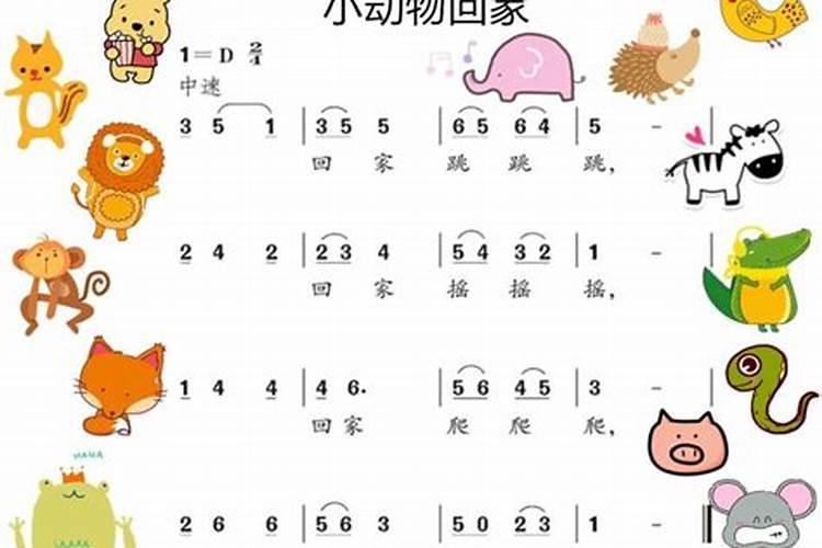 2025属龙犯太岁吗