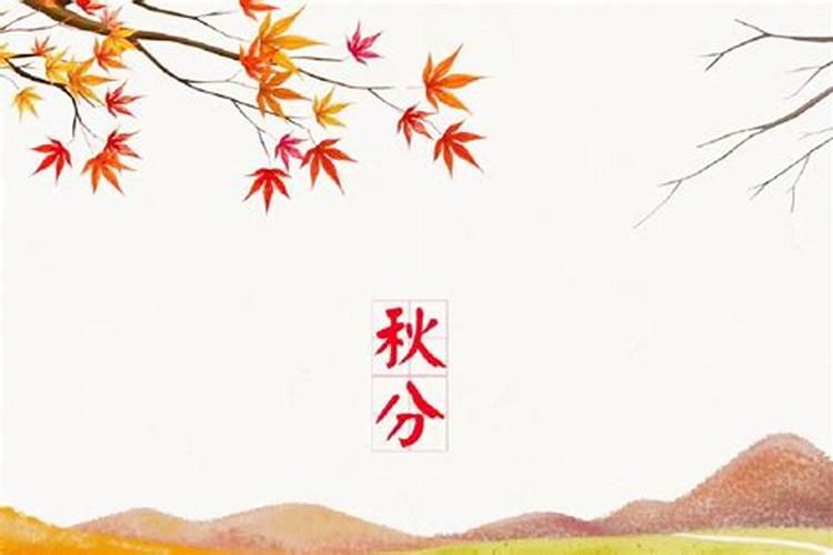 秋分时节的优美句子(美好时节,让我们一起快意秋分)