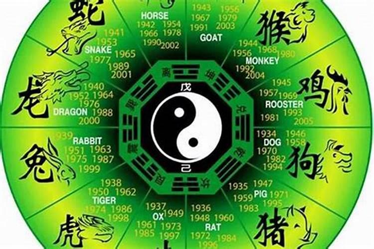 属兔人2025年综合运势