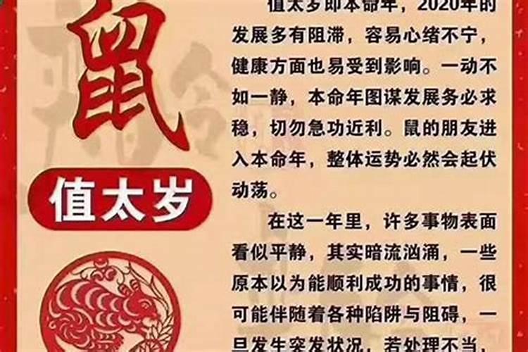 信宜丧事孙女婿需要去吗？