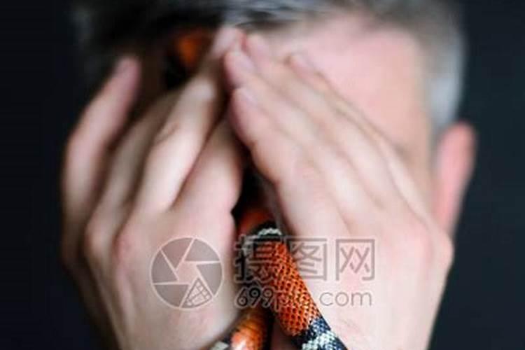 梦见爸爸抓住一条蛇的预兆