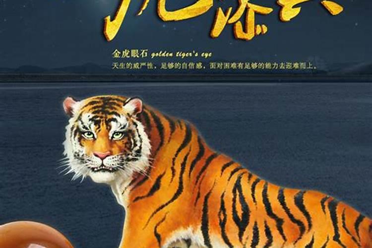 本命年的虎要注意什么