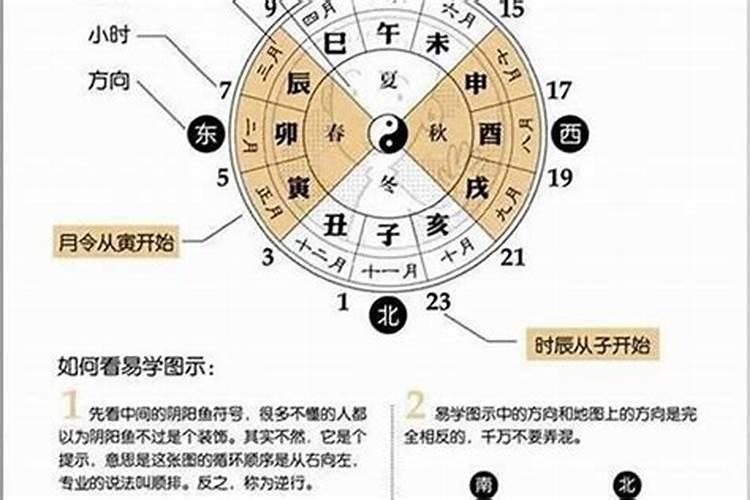 终身运程详批八字测命？