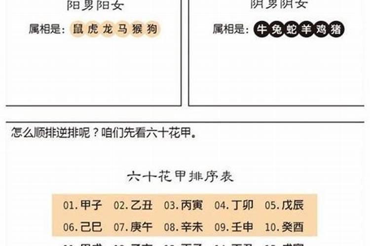 梦见姐姐生下宝宝