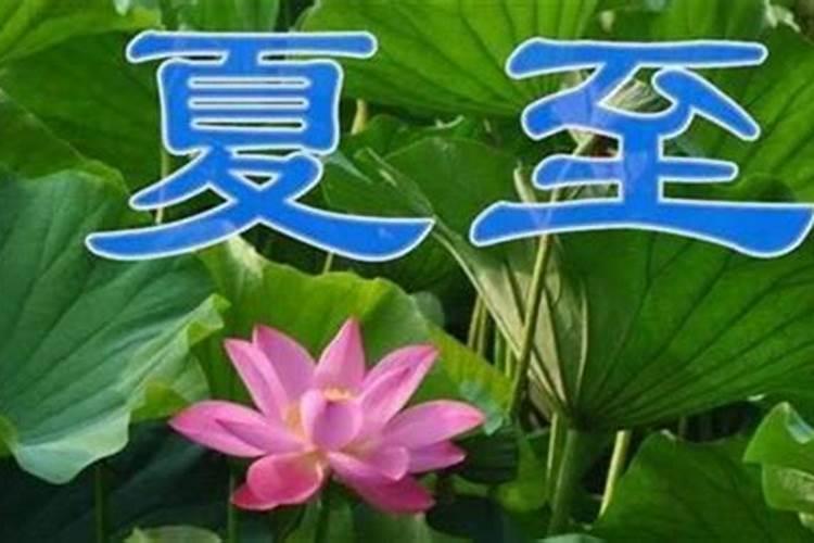 夏至节气的由来传说 关于夏至的故事传说