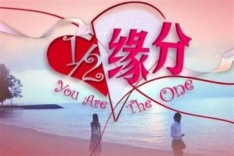 老公爱你如命的八字什么八字婚后很得宠