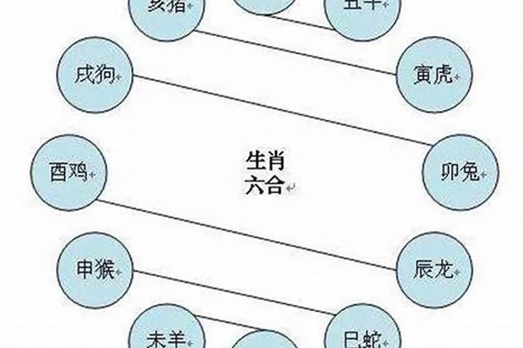 十二属相婚配表相克 相刑相害相冲都是谁？
