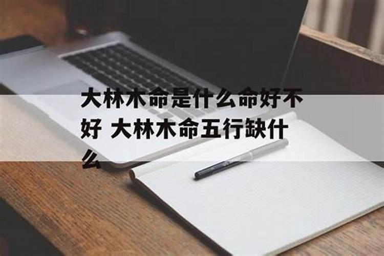 木命人缺什么？木命人的八字喜忌