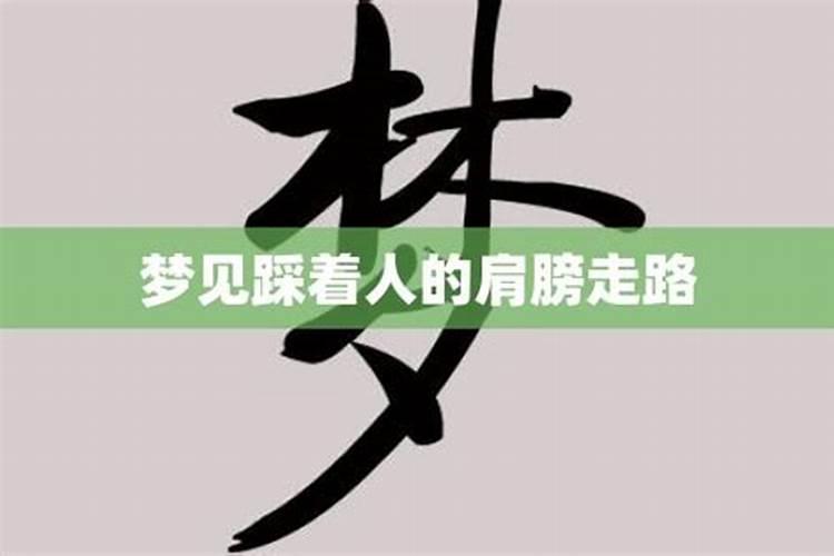 83年属猪人2025年有何劫难