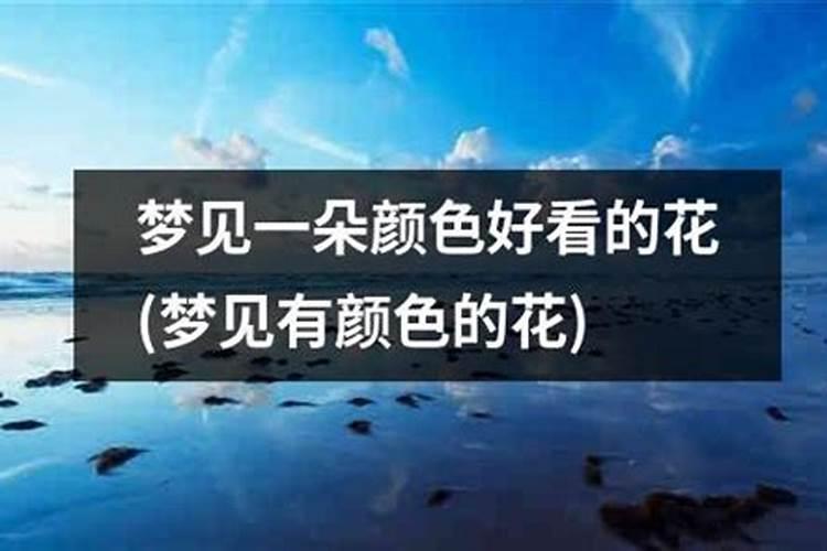 梦见两个女孩什么预兆