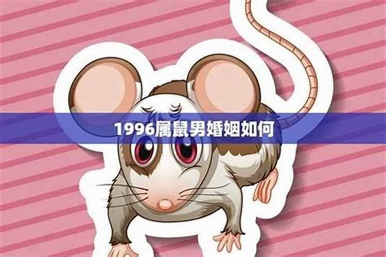 96年属鼠一生事业运男,96年鼠男一生运势