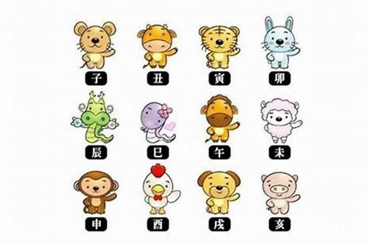 有没有男羊女狗结婚的 婚姻怎么样