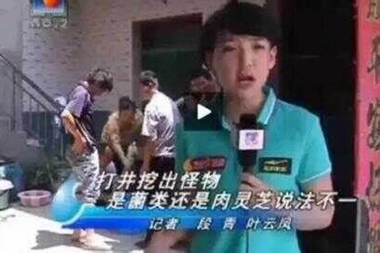 清明时节南方人吃什么