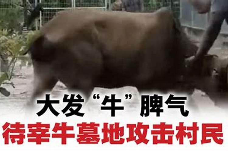 风水上最招财的门窗店铺名字 门窗店起什么名字好听