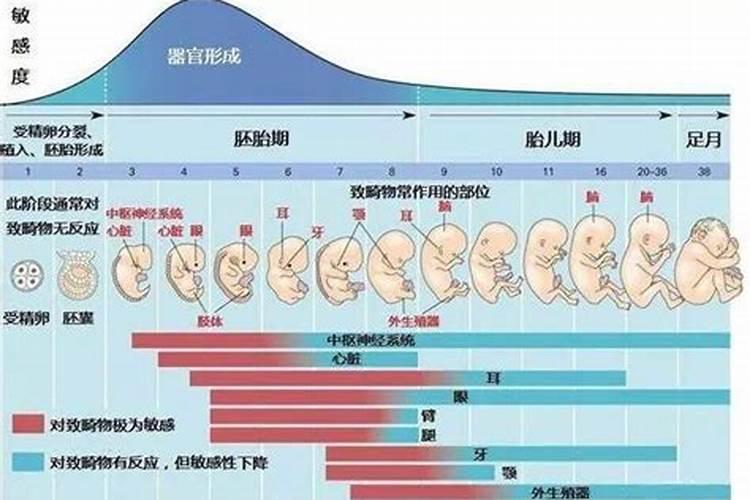 打胎的婴儿怎么处理 打胎的危害