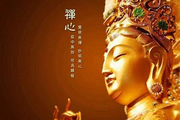 石家庄市双凤山公墓有壁葬吗？里面有多大面积？多少钱？