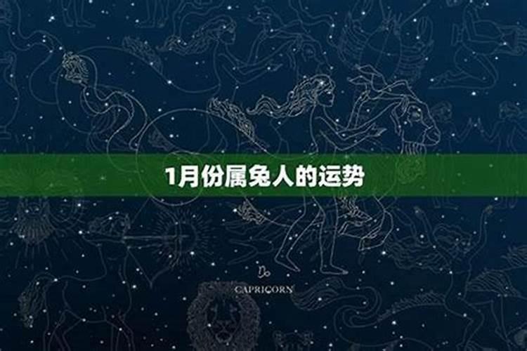 梦见大乌龟咬住脚不放的预兆