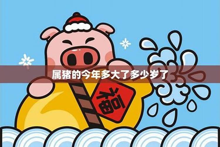 2025属猪人每月运势及运程如何