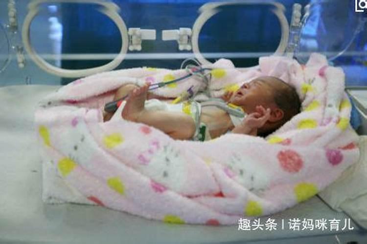24中秋节是几月几日