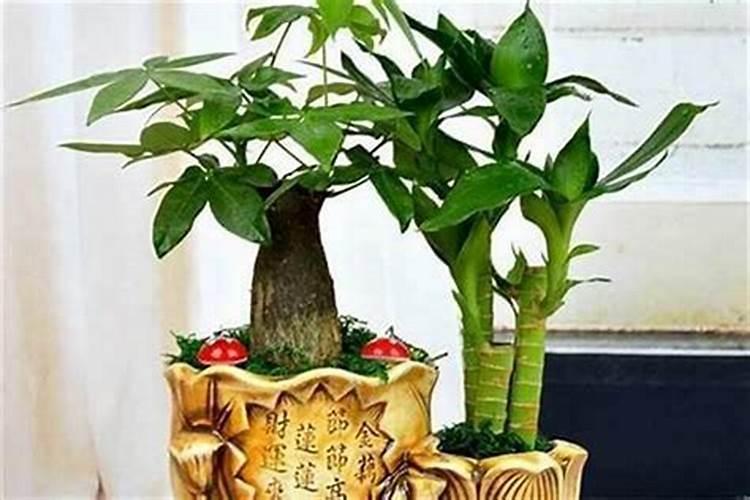 克太岁是什么意思属兔