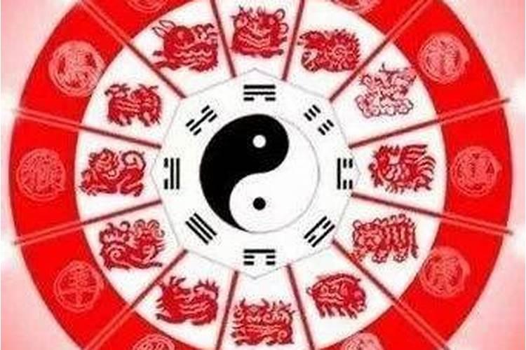 梦见蛇,第二天真见到蛇好吗