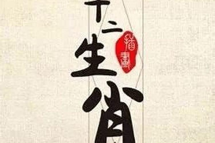 什么名字能带来财运
