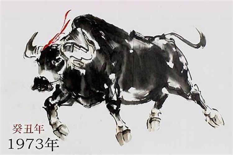 属狗人出生时的命运