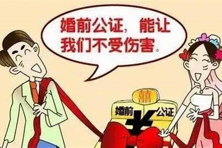 女人梦见猫是胎梦吗,备孕梦到猫是不是胎梦