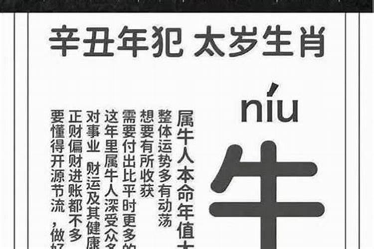 冬至菜的制作方法