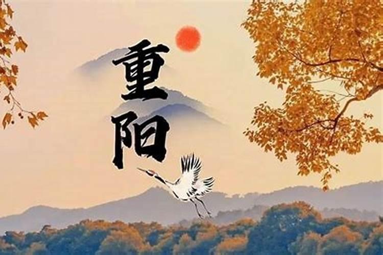 属马人2025年全年运势运程