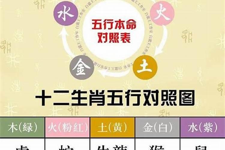 怎样知道自己的五行属性