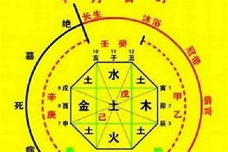 怎样看自己属金,木,水,火还是土