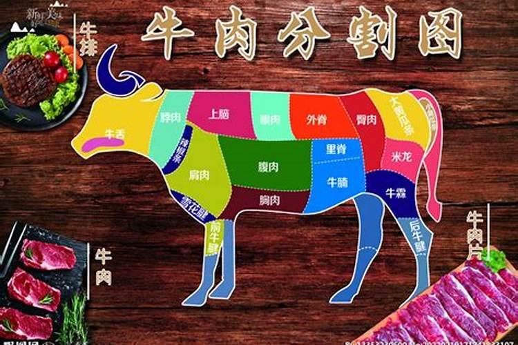 初五适宜做什么