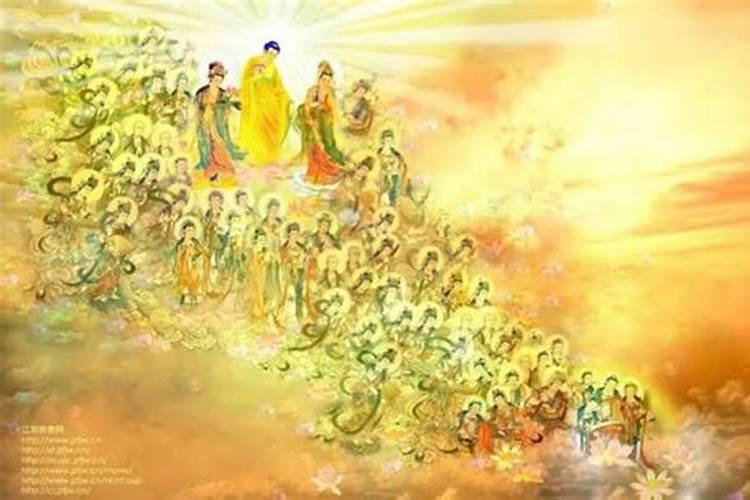 四十多天,今天做人流了,我杀生了,怎么补过