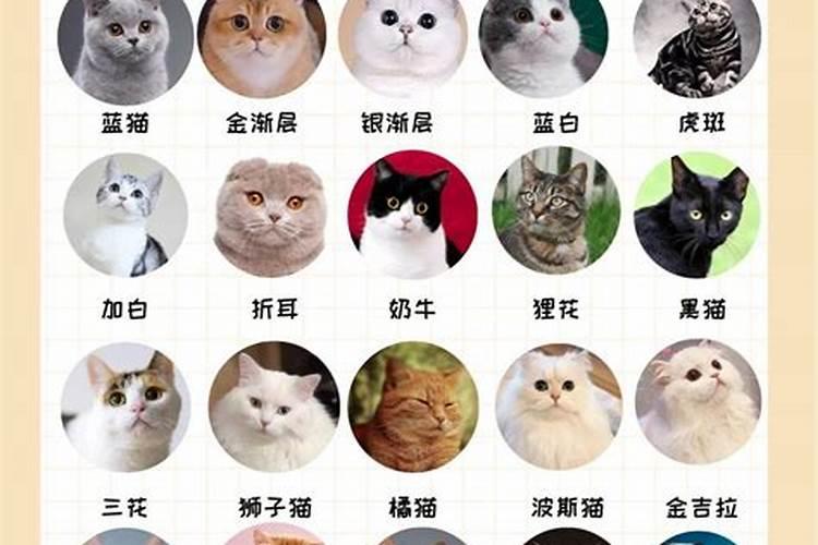 腊八节有什么风俗禁忌腊八节有什么讲究忌讳