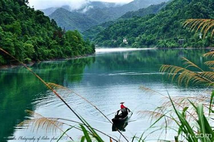梦见洪水变清水