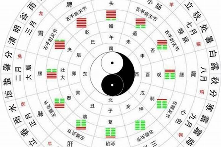 梦见狗舔屁股的预兆